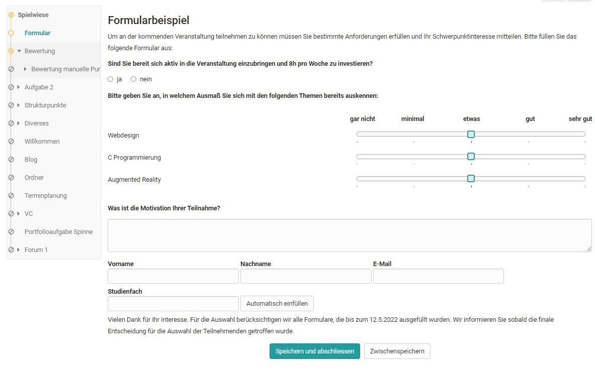 Formular Durchführung Beispiel