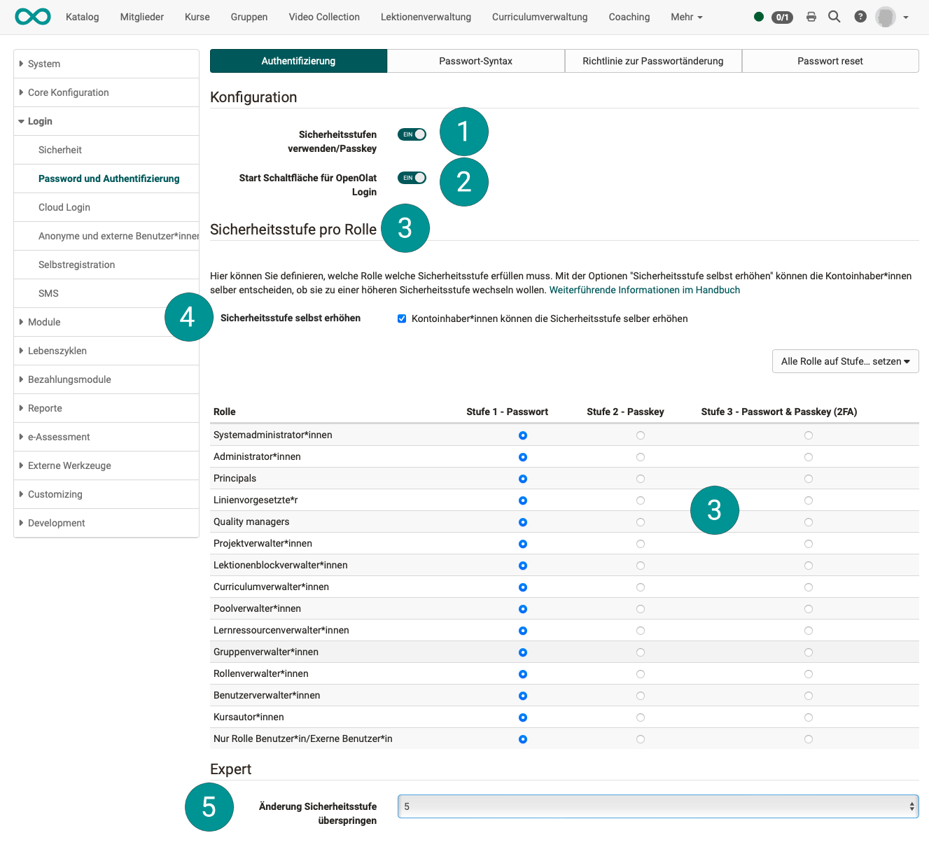 login_password_and_authentication_auth_v1_de.png