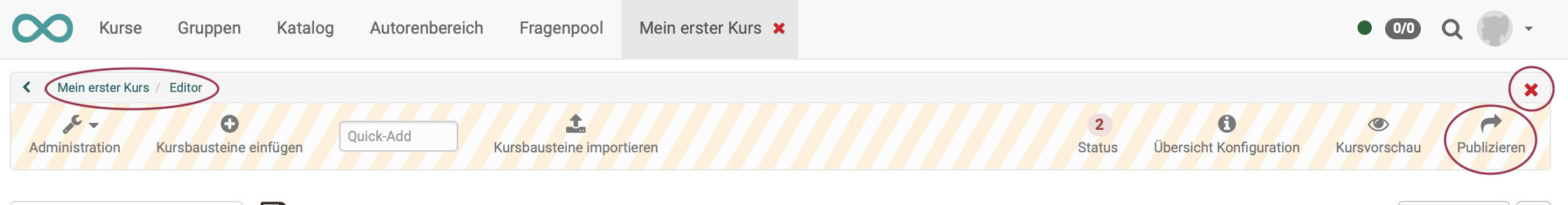 publizieren_v1_de.png
