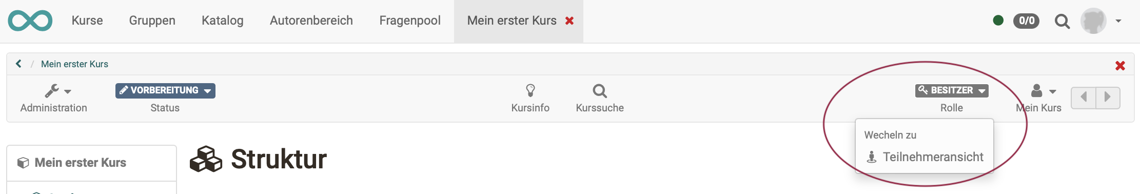 teilnehmeransicht_v1_de.png