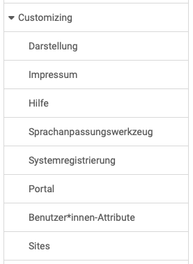 admin_customizing_overview_v1_de.png