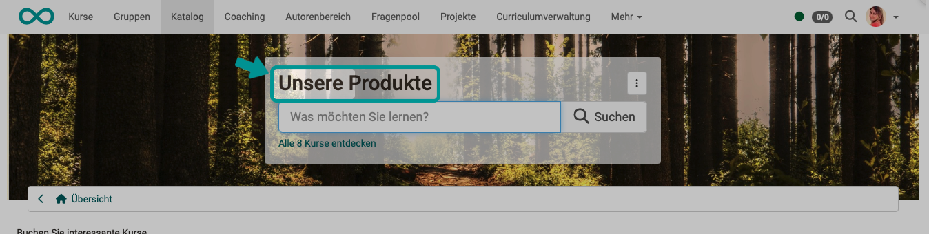 language_adaption_tool_example1b_v1_de
