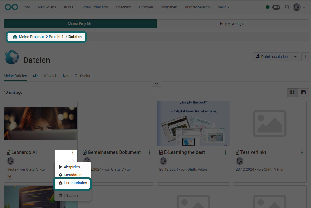 Einzelne Video Datei herunterladen