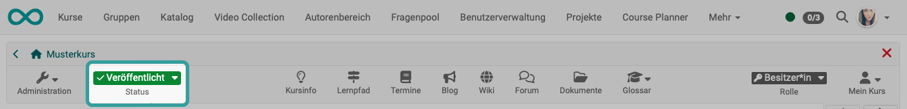 toolbar_status_v1_de.png