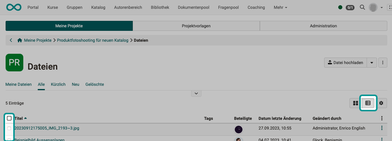 project_files_delete_several_v1_de.png