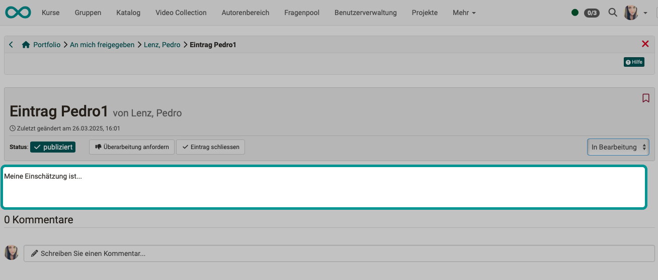 portfolio_assignment_grading_comment4_v1_de.png