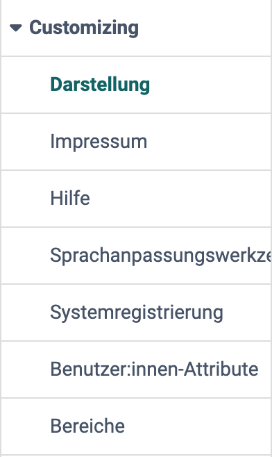 Erscheinungsbild und Hauptnavigation der ganzen Instanz in sieben Menüpunkten, von Darstellung bis Bereiche, im aufgeklappten Menü Customizing der System-Administration