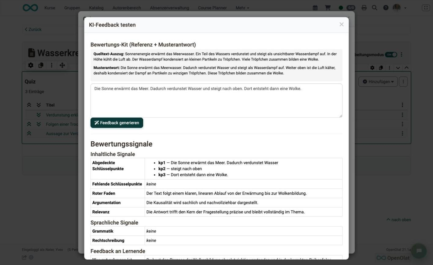 ai_essay_test_feedback_v1_de.png