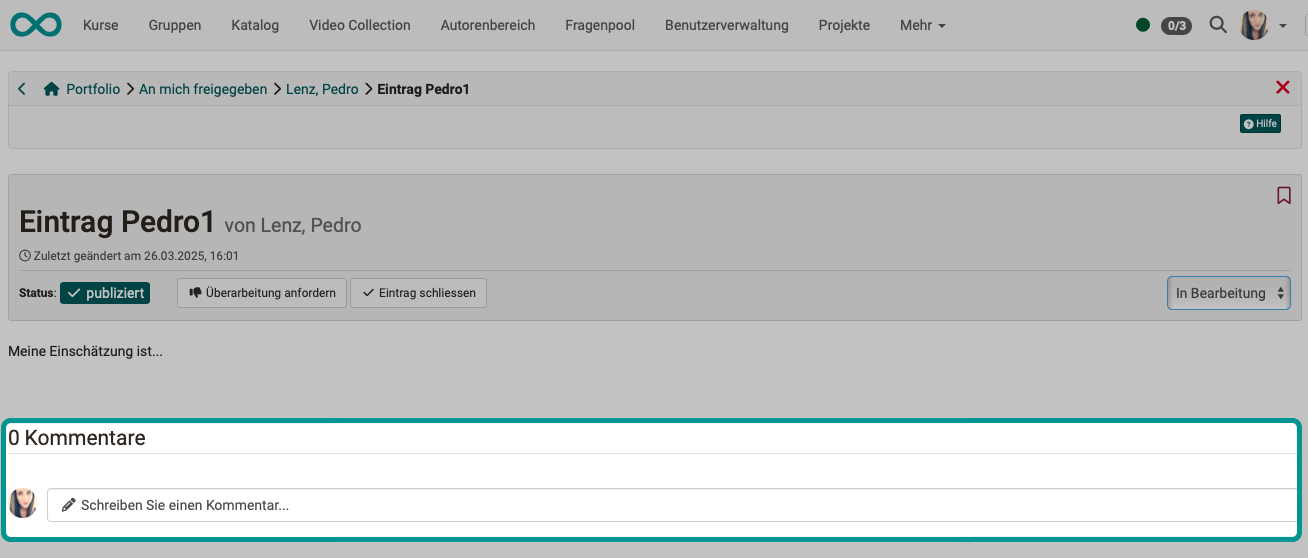 portfolio_assignment_grading_comment5_v1_de.png