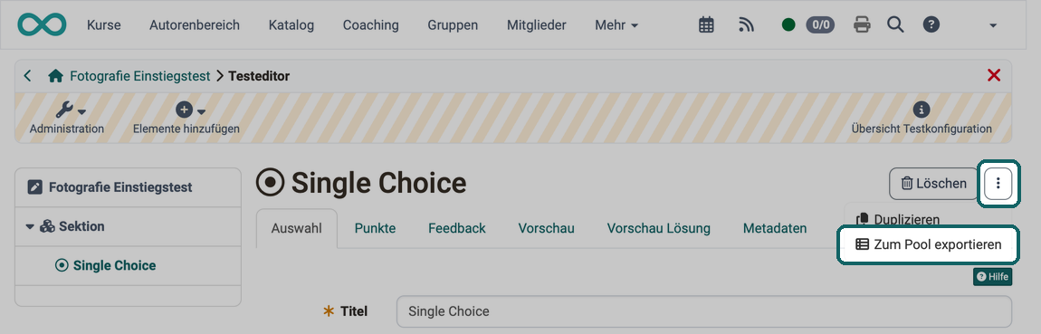 Menü mit drei Punkten rechts oben bei der Frage und darin der Eintrag Zum Pool exportieren markiert