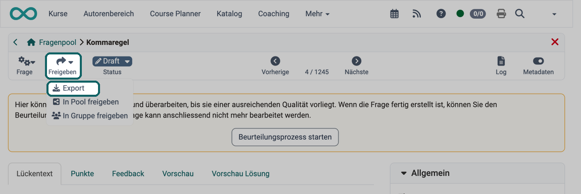 Icon Freigeben mit dem geöffneten Eintrag Export markiert, damit wird die Frage als zip-Datei exportiert