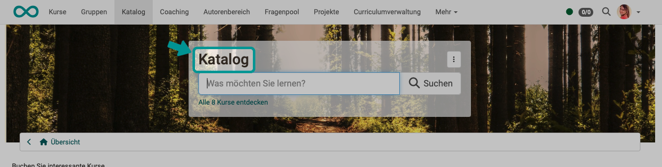 language_adaption_tool_example1a_v1_de.png