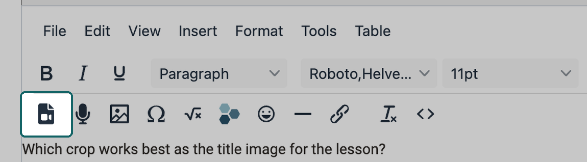 Icon for inserting a video at the start of the second toolbar row highlighted