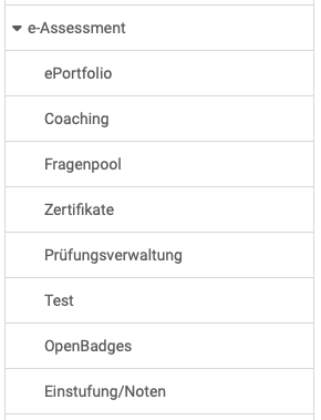 admin_e-assessment_overview_v1_de.png