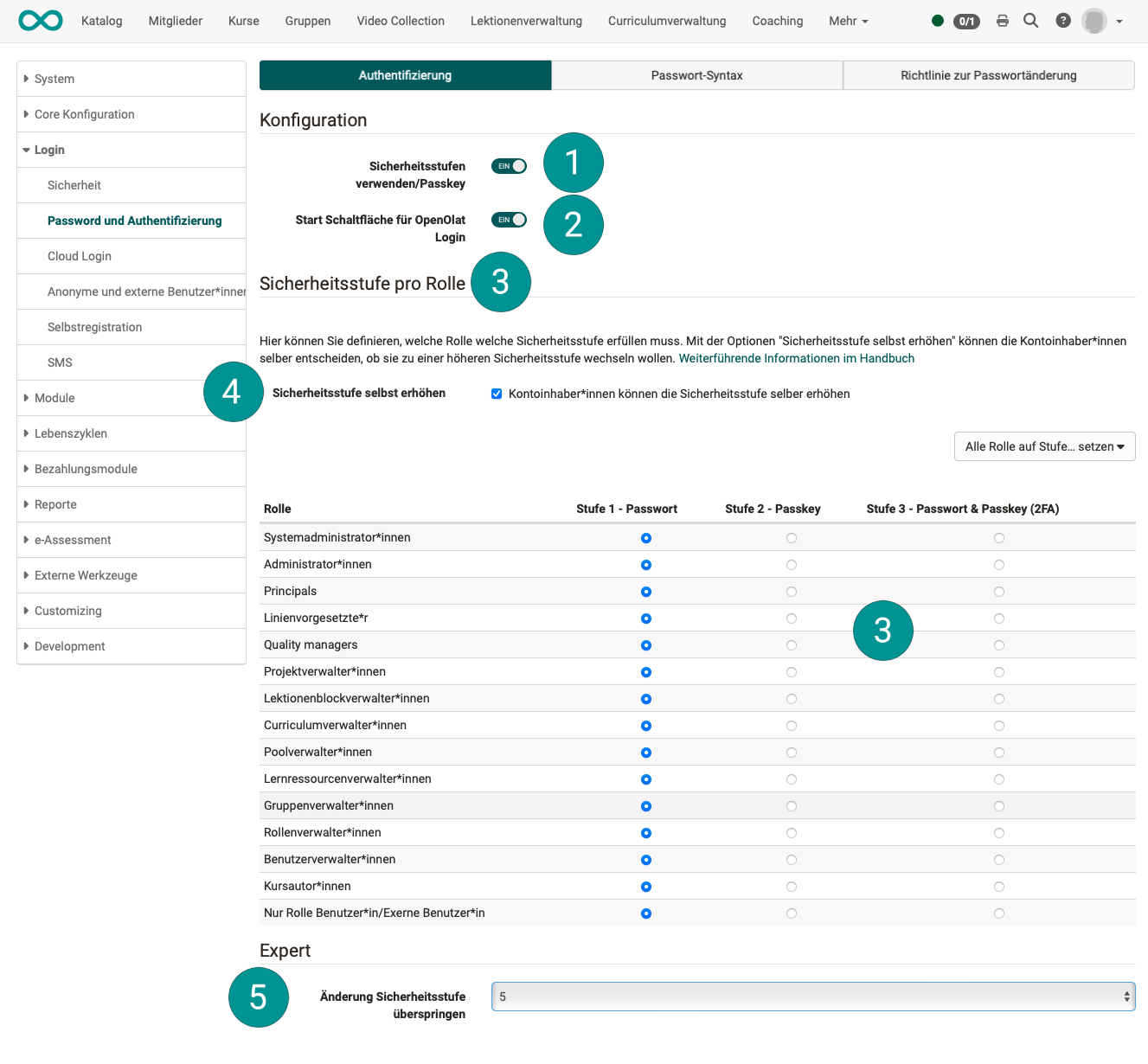 login_password_and_authentication_auth_v2_de.png