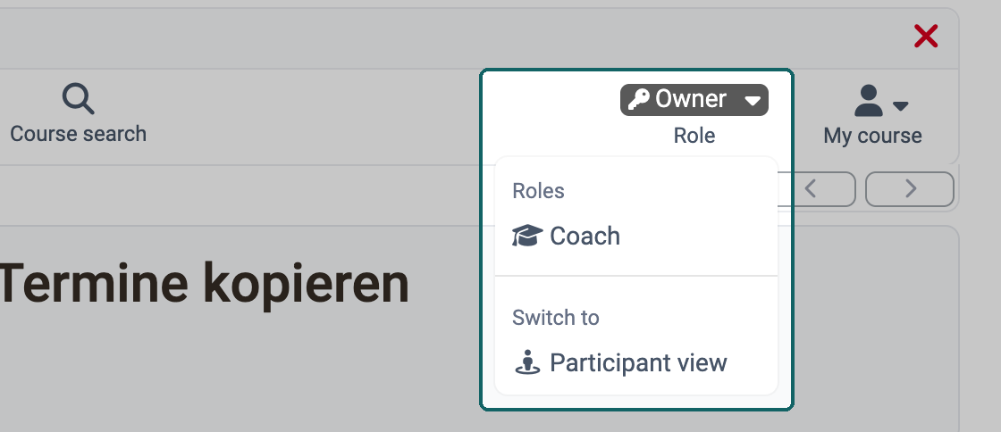 The Role menu shows the person's other roles under Roles and the participant view under Switch to
